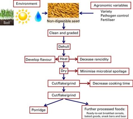 Oats: Processing Innovations and Versatile Applications in Food Industry!