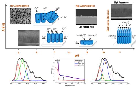  Ruten Nanorods: Zastosowanie w katalizatorach i nanomedycynie!